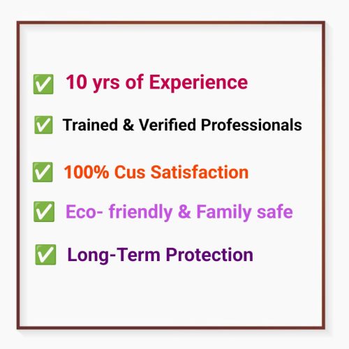 WhatsApp Image 2025-11-02 at 12.38.52 AM