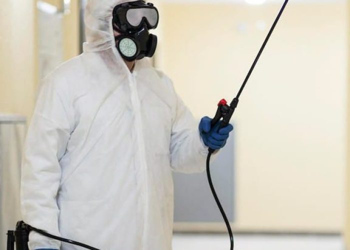 WhatsApp Image 2025-11-02 at 8.29.34 PM